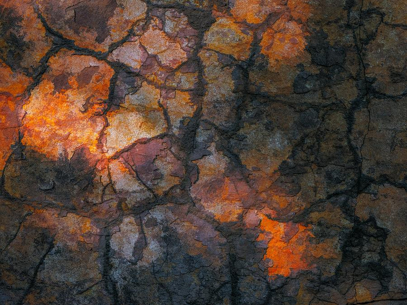 Parched Earth by Nick Psomiadis
