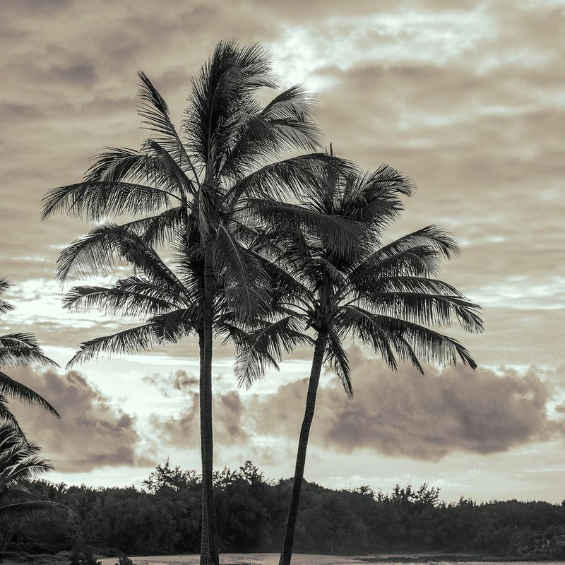 Quite Horizon by Nick Psomiadis
