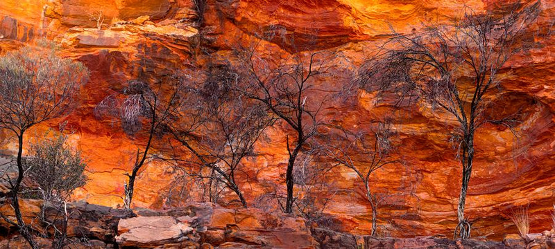 Red Rock Canyon by Nick Psomiadis