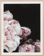 Rose Noir 1 | Print Decor