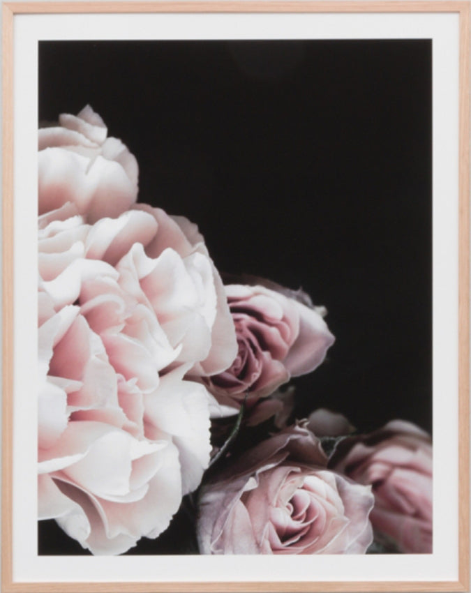 Rose Noir 1 | Print Decor