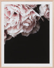 Rose Noir 2 | Print Decor