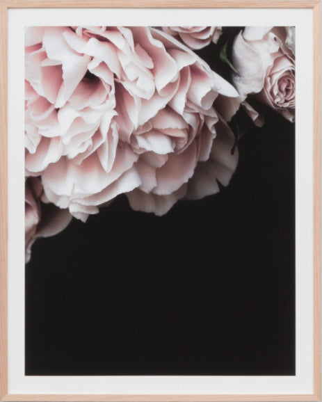Rose Noir 2 | Print Decor