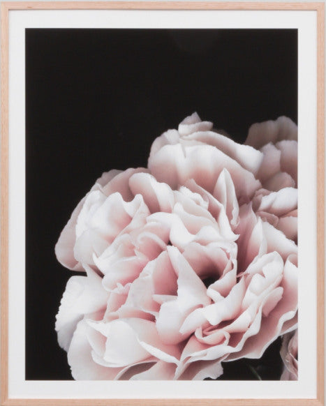Rose Noir 3 | Print Decor