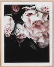 Rose Noir 4 | Print Decor