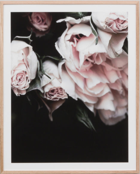 Rose Noir 4 | Print Decor
