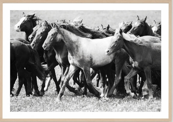 Running Herd