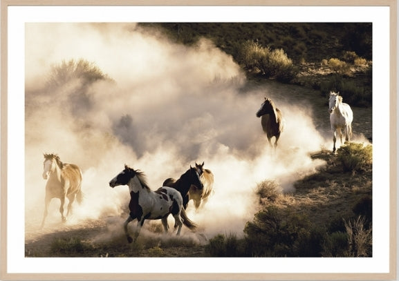 Running Horses