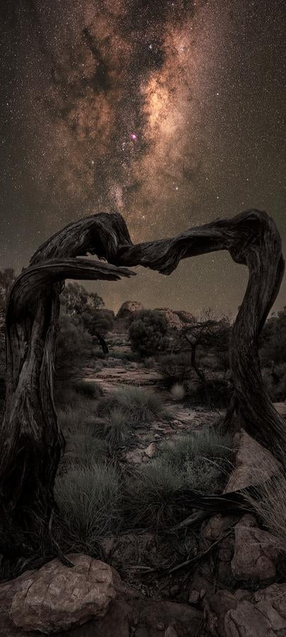 Sacred Darkness by Nick Psomiadis