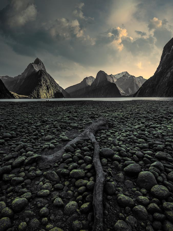 Serenity of Milford Sound by Nick Psomiadis