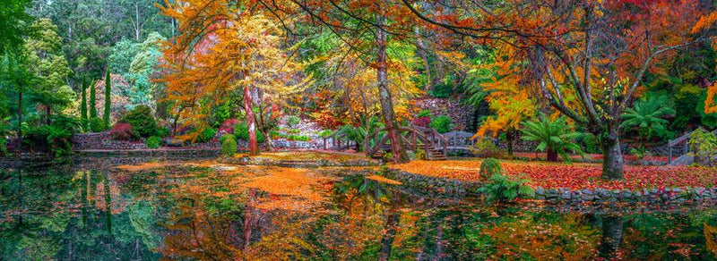 Sherbrooke V by Nick Psomiadis