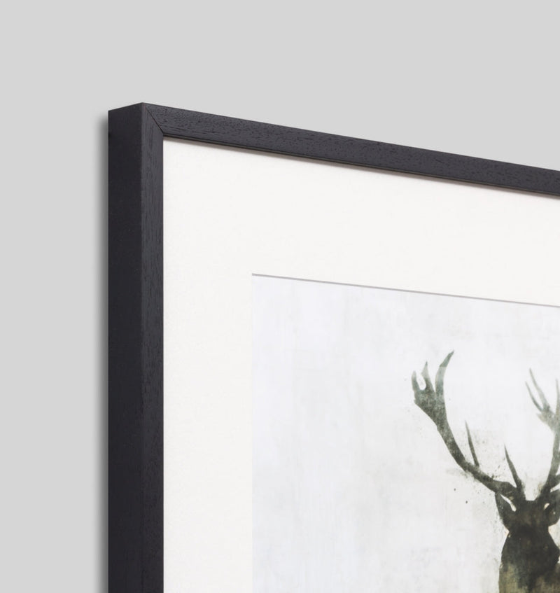 Silent Stag