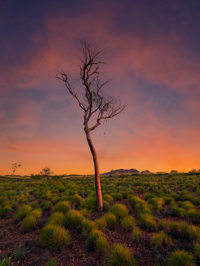 Sonders Dawn by Nick Psomiadis