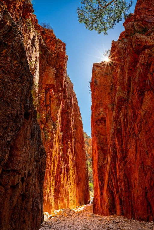 Standley Chasm by Nick Psomiadis