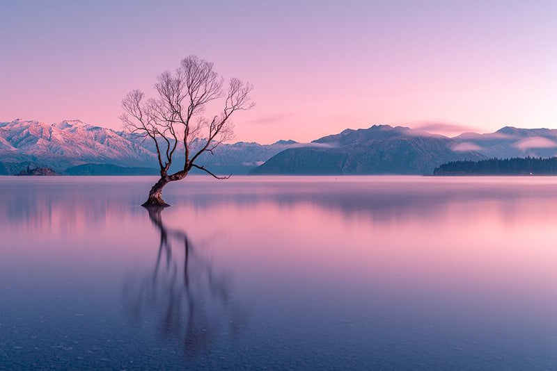 Stillness at Lake Wanaka by Nick Psomiadis