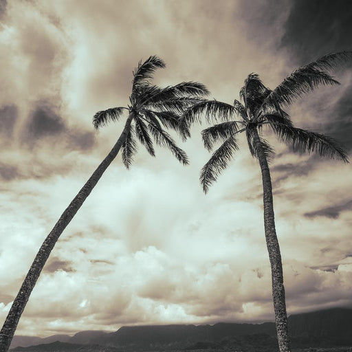 Subtle Breeze by Nick Psomiadis