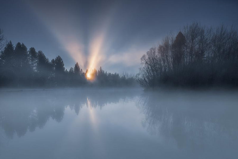 Sunlight Through Morning Mist by Nick Psomiadis