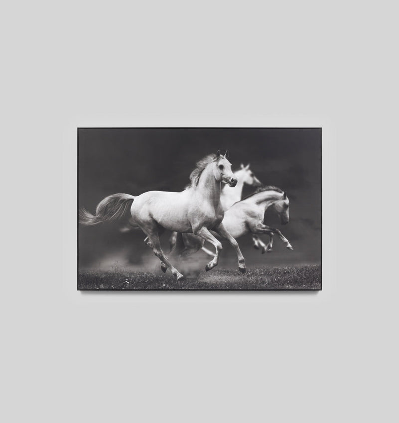 Unbridled Joy