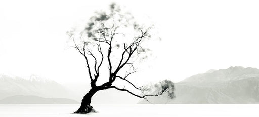 Wanaka Tree by Nick Psomiadis