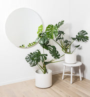 Modern Circular Mirror | White | Print Decor 