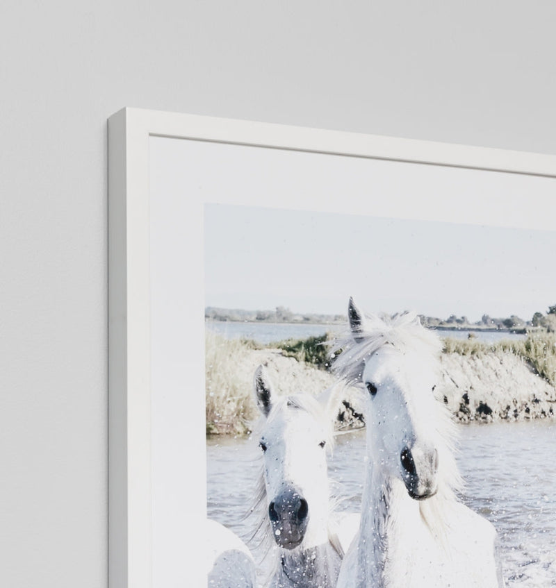 White Horses