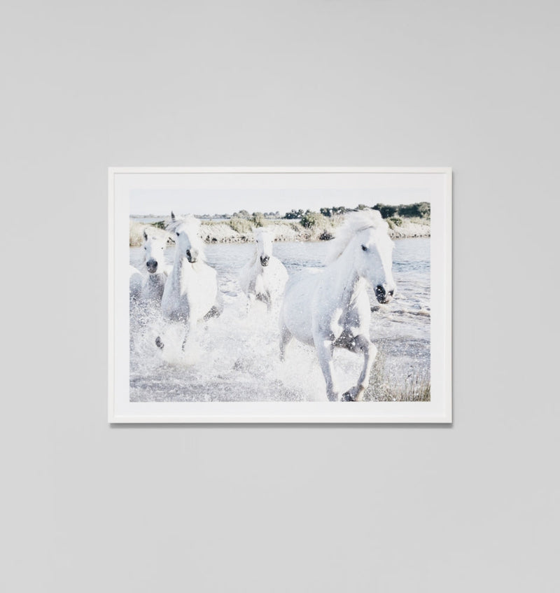 White Horses