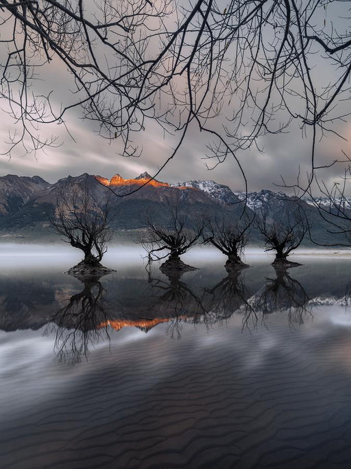 Willow Guardians by Nick Psomiadis