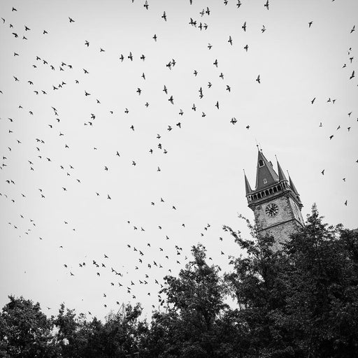 Wings Above Old Town by Nick Psomiadis