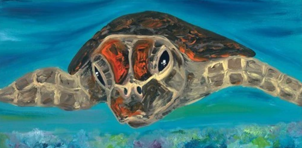 Turtle - Louise Stewart-Brown